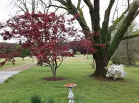 20180330_082902.webp