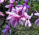 K1600_158.webp
