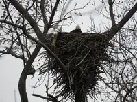 DSCN1345.webp