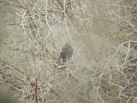 DSCN1378.webp