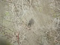 DSCN1380.webp