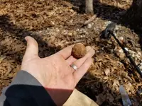20180318_140601.webp 20180318_140601.webp