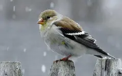 K1600_014_InPixio.webp