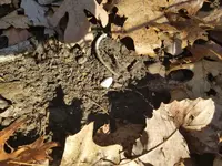 20180321_095529.webp 20180321_095529.webp