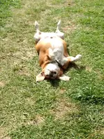 IMG_20170818_150014640.webp