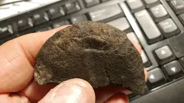 creek finds.webp creek finds.webp