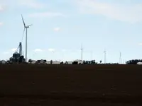wind farm.webp