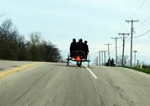 amish.webp