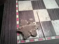 1521872765214-839247643.webp