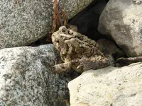 DSCN2065.webp