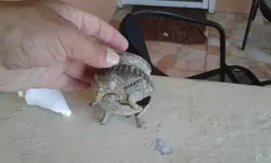 20180410_151319.webp
