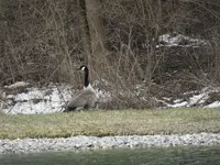 DSCN0643.webp