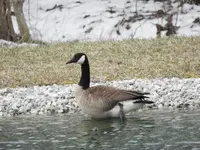 DSCN0636.webp