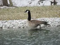 DSCN0637.webp