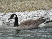 DSCN0638.webp