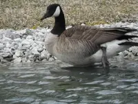 DSCN0640.webp