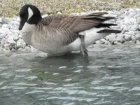 DSCN0641.webp
