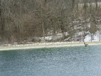 DSCN0642.webp