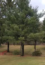 20180330_163707.webp