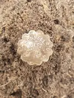 20180514_153934.webp