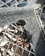 0210181443.webp