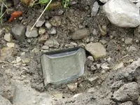 DSCN0823.webp