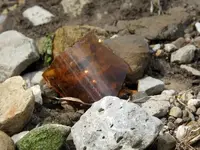 DSCN0825.webp