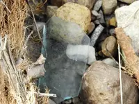 DSCN0828.webp