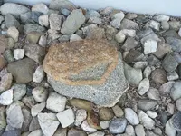 DSCN1231.webp
