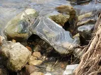 DSCN0830.webp