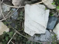 DSCN1234.webp
