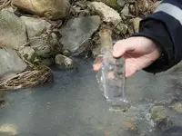 DSCN0832.webp