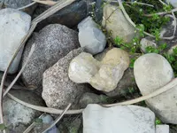 DSCN1236.webp