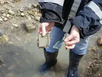 DSCN0836.webp