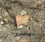 DSCN0838.webp