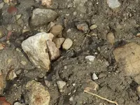 DSCN0842.webp