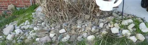 DSCN1237-2.webp