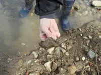DSCN0844.webp