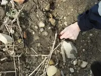 DSCN0845.webp