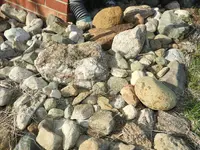 DSCN1238.webp