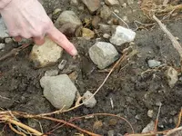 DSCN0848.webp