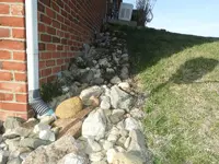 DSCN1239.webp