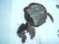 junk 004.webp