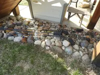 DSCN1241.webp