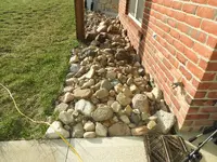 DSCN1242.webp