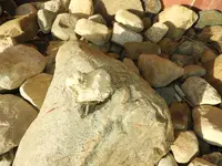 DSCN1243.webp