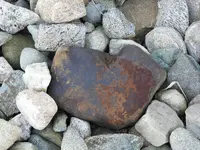 DSCN1223.webp