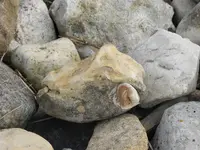 DSCN1225.webp
