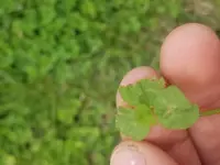 20180514_112406.webp