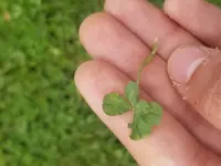 20180514_112458.webp